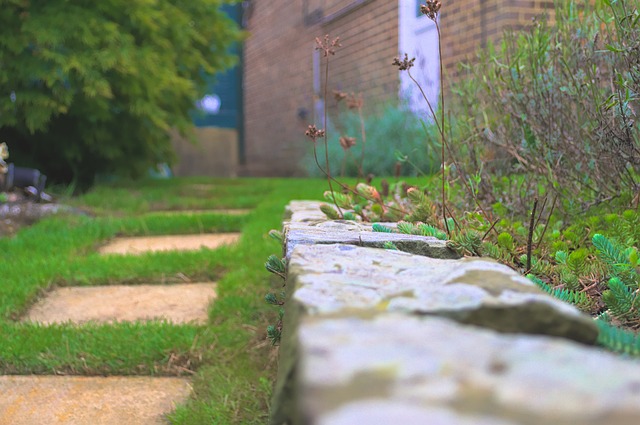 petites dalles de pierre pour créer un chemin praticable